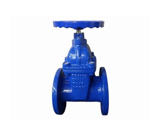 BS5163 Gate Valve