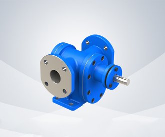 2CG gear pump
